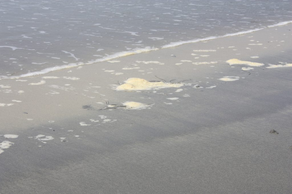 sea foam
