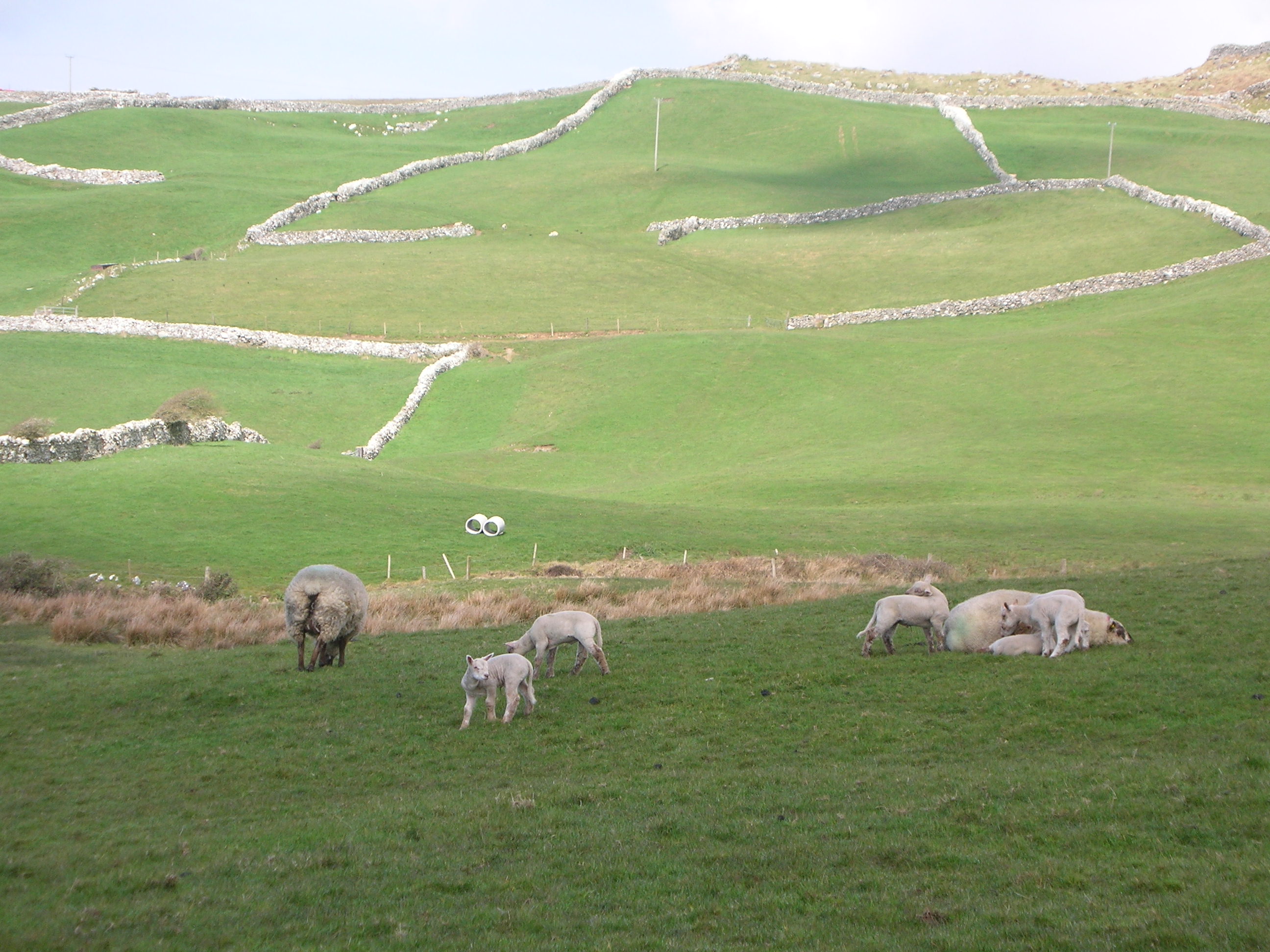 Welcome to Ireland!